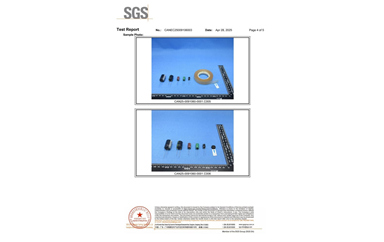 環保測試報告 TSCA CANEC25009106003